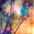 /album/galerie-photos/pousse-neige-jpg/